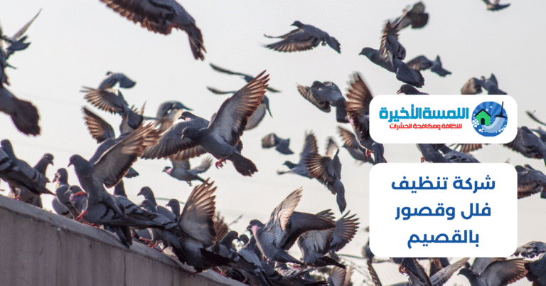 شركة تركيب طارد حمام بالقصيم