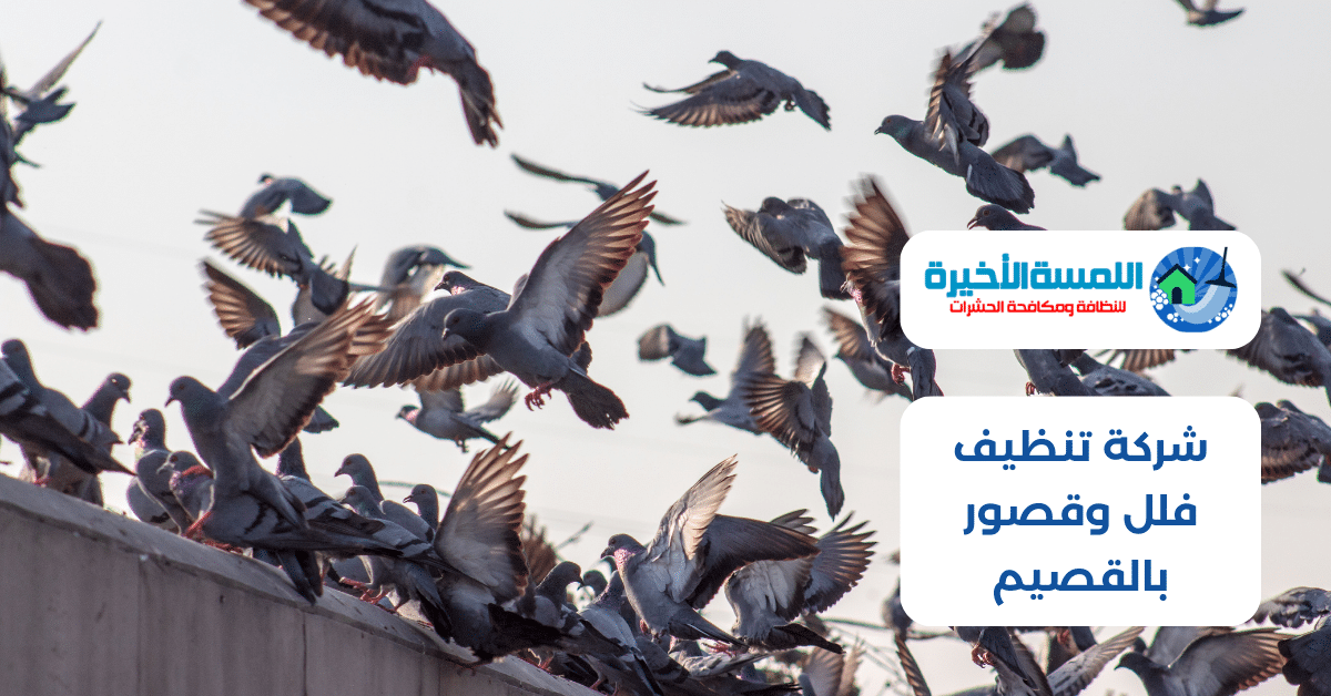 شركة تركيب طارد حمام بالقصيم