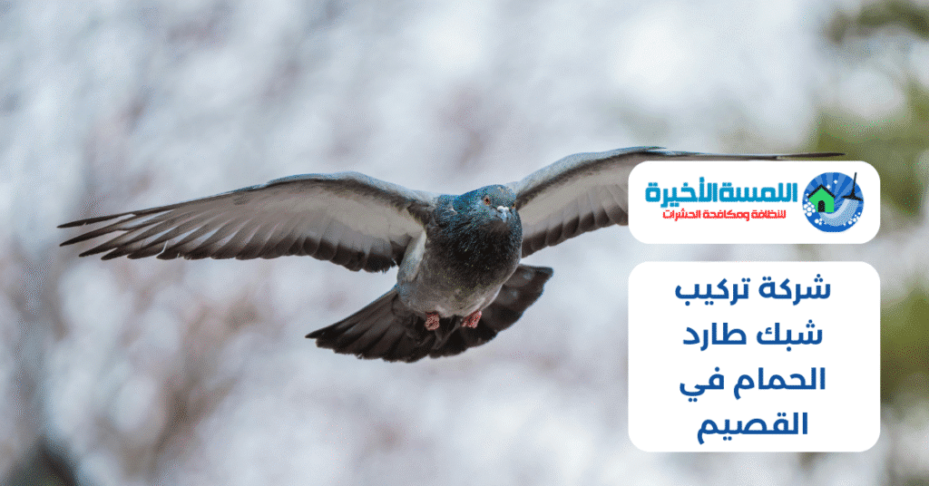 شركة تركيب شبك طارد الحمام في القصيم