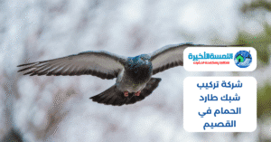 شركة تركيب شبك طارد الحمام في القصيم