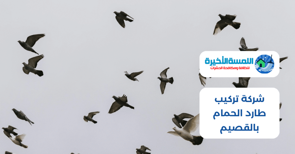 شركة تركيب طارد الحمام بالقصيم